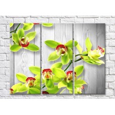 Картина Rainbow Green orchid flowers on gray plank background (500318)