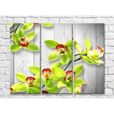 Pictură Rainbow Green orchid flowers on gray plank background (500318)