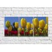 Pictură Rainbow Flowerbeds with yellow and red tulips (500323)