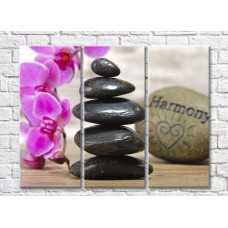 Pictură Rainbow Arrangement of stones and purple orchids (500328)