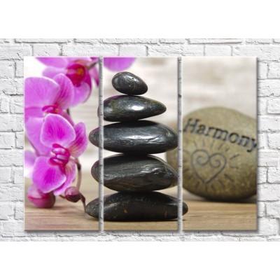 Pictură Rainbow Arrangement of stones and purple orchids (500328)