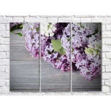 Pictură Rainbow Lilac flowers on a Gray background (500831)