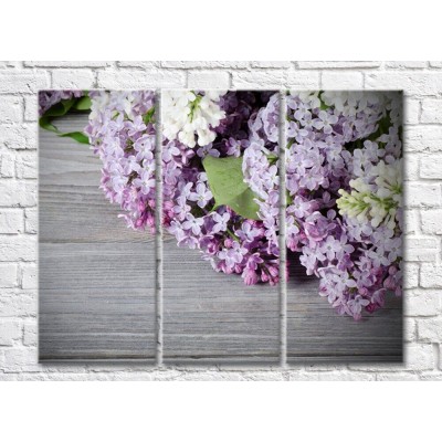 Картина Rainbow Lilac flowers on a Gray background (500831)