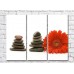 Картина Rainbow Red gerbera and flat stones on white background (500334)