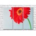 Картина Rainbow Red gerbera on gray background (500335)