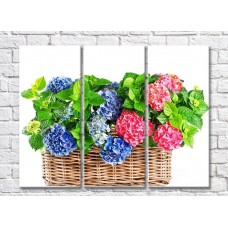 Картина Rainbow Blue and Pink hydrangea flowers in a basket (500830)