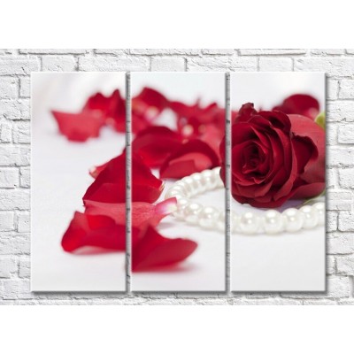 Картина Rainbow Red rose, petals and a string of white pearls (500337)