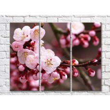 Картина Rainbow Sakura flowers and buds on branches (500828)