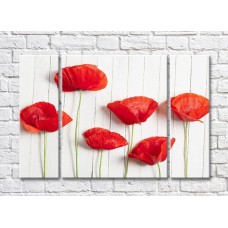 Картина Rainbow Red poppies on a white plank background (500344)