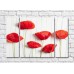 Картина Rainbow Red poppies on a white plank background (500344)