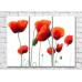 Картина Rainbow Red poppies on a white background (3448897)