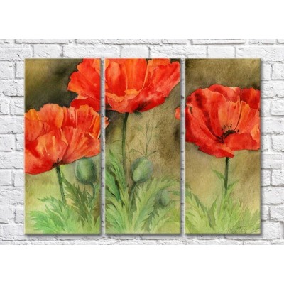 Картина Rainbow Red poppies on a green background watercolor drawing (500347)