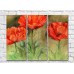 Картина Rainbow Red poppies on a green background watercolor drawing (500347)