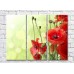 Pictură Rainbow Red poppies on a light green background (500348)