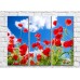 Pictură Rainbow Red poppies against the sky with clouds (500350)