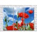 Pictură Rainbow Red poppies against a blue sky (3448898)