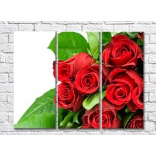 Картина Rainbow Red roses and green leaves (500351)