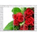 Картина Rainbow Red roses and green leaves (500351)