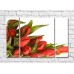 Картина Rainbow Red tulips and curly green leaves (500352)