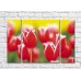 Картина Rainbow Red tulips on yellow green background (500354)