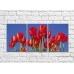 Картина Rainbow Red tulips against blue sky background (500355)