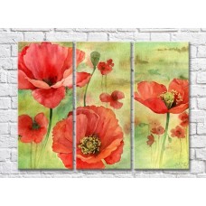 Pictură Rainbow Red poppies flowers on a green background watercolor drawing (500360)