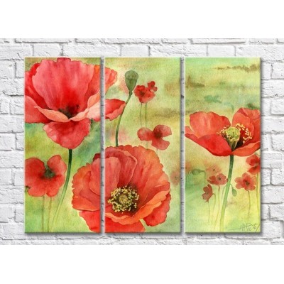 Pictură Rainbow Red poppies flowers on a green background watercolor drawing (500360)