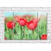 Pictură Rainbow Red tulip flowers in sunlight (500361)