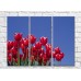 Pictură Rainbow Red tulip flowers against blue sky background (500362)