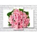 Картина Rainbow Round bouquet of pink roses (500368)