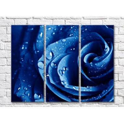 Pictură Rainbow Large blue rose petals with dew drops (500377)