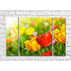 Pictură Rainbow Large tulips against the background of a multi-colored flower field (500380)