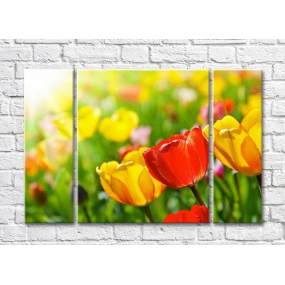 Pictură Rainbow Large tulips against the background of a multi-colored flower field (500380)