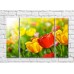 Pictură Rainbow Large tulips against the background of a multi-colored flower field (500380)