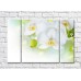 Pictură Rainbow Large white orchid flowers and green buds (500383)