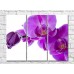 Pictură Rainbow Large purple orchid flowers and buds (500384)