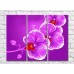 Картина Rainbow Large orchid flowers on a purple background (500388)