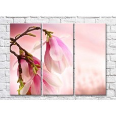 Картина Rainbow Large pink magnolia flowers on a branch (500391)