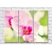 Картина Rainbow Large flowers of a pink orchid with a purple core (500392)