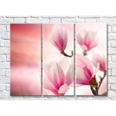 Картина Rainbow Large flowers of pink magnolias (500393)