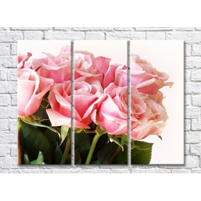 Картина Rainbow Large flowers of pink roses (500394)