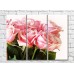 Картина Rainbow Large flowers of pink roses (500394)