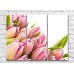 Картина Rainbow Large flowers of pink tulips on a white background (500395)