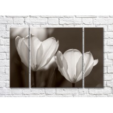 Pictură Rainbow Large flowers of tulips monochrome photo (500399)