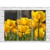 Pictură Rainbow Large flowers of yellow tulips (500400)