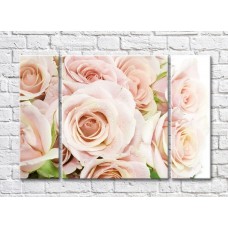 Pictură Rainbow Large flowers of cream roses (500401)