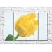 Pictură Rainbow Large yellow tulip flower (500408)