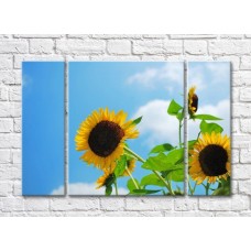 Pictură Rainbow Sunflower flowers on a Blue sky background (500825)