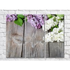 Pictură Rainbow Lilac flowers and leaves on a plank background (500821)