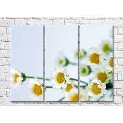 Pictură Rainbow Flowers and buds of daisies on a light background (500820)